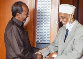 رئيس الجمهورية يزور الرئيس الخامس للصومال في القاهرة