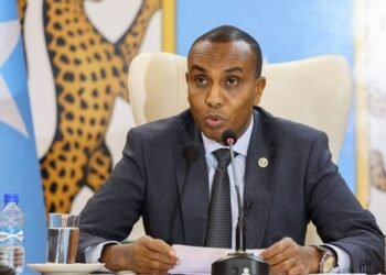  رئيس الوزراء الصومالي يعقد اجتماعا مع مجلس السلام والأمن الإفريقي