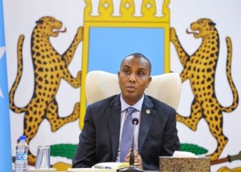 اهتمام الحكومة الصومالية بتحقيق الاستقرار السياسي في البلاد