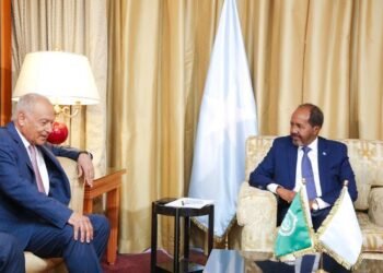 لقاء بين الرئيس الصومالي والأمين العام لجامعة الدول العربية