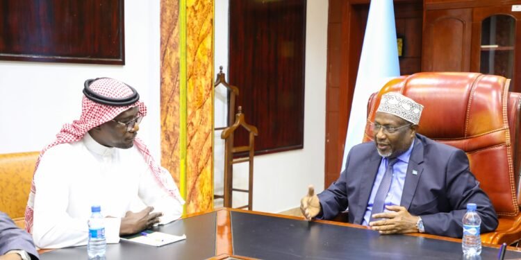 رئيس مجلس الشعب يستقبل السفير السعودي لدى الصومال