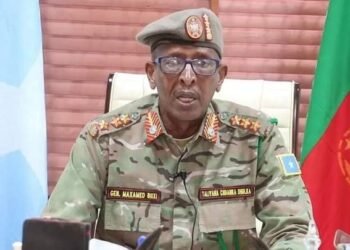 قائد القوات البرية يشيد بالعمليات العسكرية الجارية في محافظة هيران