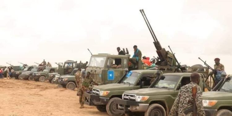 استعدادات نهائية لشن حرب شاملة على معاقل حركة الشباب في محافظة شبيلي الوسطى