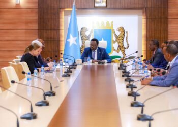  نائب رئيس الوزراء الصومالي يلتقي بوفد من الأمم المتحدة في مقديشو