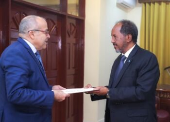 الرئيس الصومالي يؤكد استعداده للمشاركة في القمة العربية المقبلة