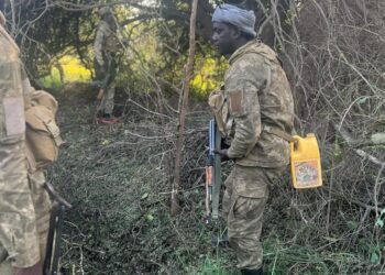 الجيش الصومالي يقتل 19 عنصرا من حركة الشباب