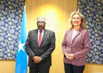 رئيس البرلمان الصومالي يلتقي نظيره الهولندي