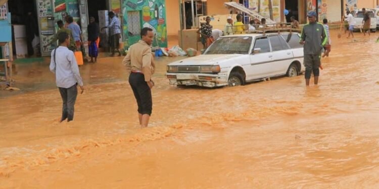 فيضانات شديدة تضرب مدينة قرضو في شمال شرق الصومال