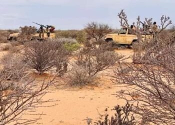 القوات الصومالية تستعيد منطقة “قايب” أحد معاقل حركة الشباب في الأقاليم الوسطى