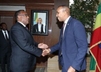 رئيس الوزراء يجري اجتماعات خاصة مع مسؤولين إثيوبيين في أديس أبابا