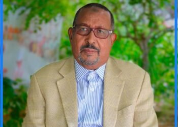 الرئيس الصومالي يعين مستشارا له في الشؤون الديمقراطية والحكم الرشيد