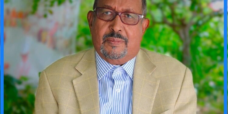 الرئيس الصومالي يعين مستشارا له في الشؤون الديمقراطية والحكم الرشيد