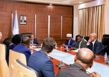 الرئيس الصومالي يستقبل المفوض السامي للأمم المتحدة لشؤون اللاجئين في مقديشو