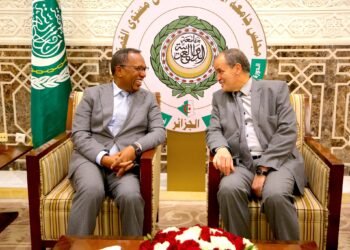 وزير المالية الصومالي يصل إلى الجزائر للمشاركة في اجتماع مجلس وزراء المالية العرب