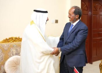 الرئيس الصومالي يجري لقاءَ وداع مع السفير الإماراتي السابق في مقديشو