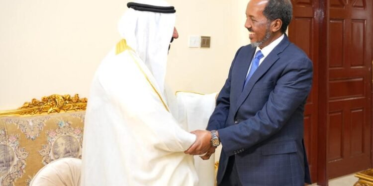 الرئيس الصومالي يجري لقاءَ وداع مع السفير الإماراتي السابق في مقديشو