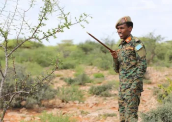 رئيس أركان الجيش الصومالي يعلن  مقتل 50 عنصرا من “حركة الشباب”