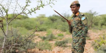 رئيس أركان الجيش الصومالي يعلن  مقتل 50 عنصرا من “حركة الشباب”