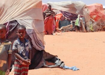 مسؤول أممي يدق ناقوس الخطر بشأن الجفاف المتكرر في منطقة شرق إفريفيا