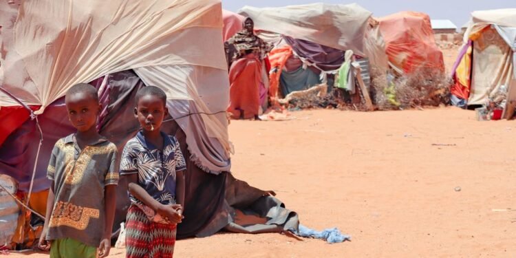 مسؤول أممي يدق ناقوس الخطر بشأن الجفاف المتكرر في منطقة شرق إفريفيا