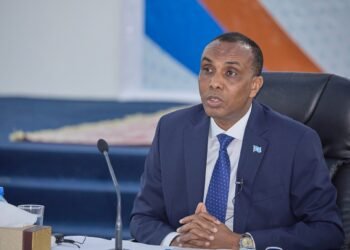 رئيس الوزراء الصومالي: البلد يتجه نحو عهد جديد يتسم بالسلام والاستقرار والديمقراطية&nbsp;&nbsp;