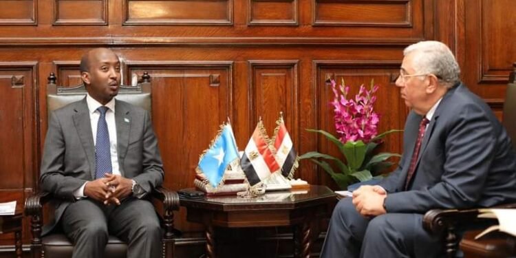 وزير الثروة السمكية الصومالي يلتقي نظيره المصري في القاهرة