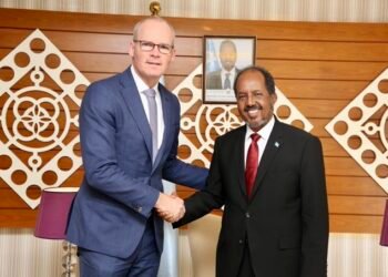 على هامش مؤتمر المناخ في شرم الشيخ.. رئيس الجمهورية يلتقي وزير الخارجية الأيرلندي.