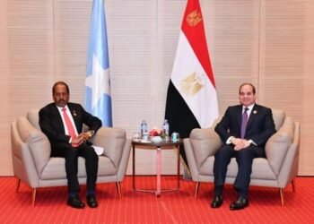 على هامش القمة العربية بالجزائر…. الرئيس الصومالي يجتمع مع نظيره المصري