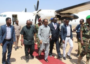 الرئيس الصومالي يتفقد بعض جبهات القتال في بعض ولايات الصومال