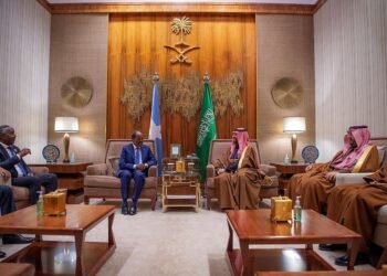 على هامش القمة العربية الصينية… الرئيس الصومالي يجتمع مع ولي العهد السعودي