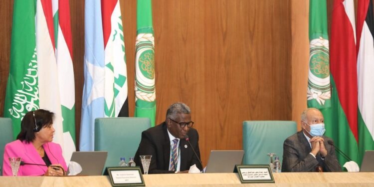 مبعوث رئيس الصومال يدعو الدول العربية لسرعة التحرك والتدخل العاجل لإغاثة الشعب الصومالي