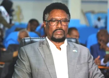 رئيس مجلس الشعب الصومالي السابق يدعو إلى إجراء انتخابات رئاسية في ولاية جنوب الغرب