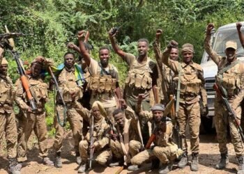 الحكومة الصومالية تعلن سيطرتها على مناطق في شبيلي السفلى