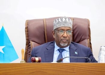 رئيس مجلس الشعب الصومالي يطالب بوقف أعمال العنف في ولاية جنوب غرب الصومال