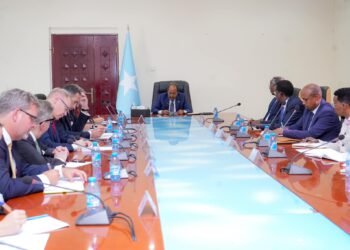 الرئيس الصومالي يستقبل بعض سفراء الاتحاد الأوروبي في مقديشو