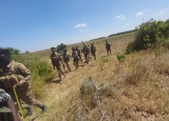 مقتل 49 عنصرا من مليشيات حركة الشباب في محافظة شبيلي الوسطى