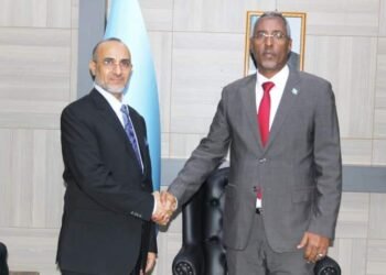 وزير الخارجية الصومالي يستقبل رئيس بعثة منظمة التعاون الإسلامي في الصومال