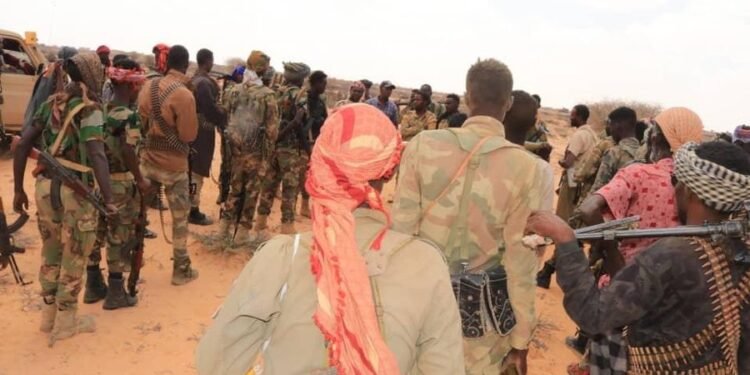 مقتل عناصر من حركة الشباب بعد تجدد الهجمات العسكرية ضدها في ولاية غالمودوغ