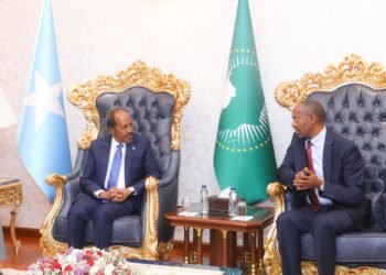 الرئيس حسن شيخ يصل أديس أبابا للمشاركة في القمة الـ36 للاتحاد الإفريقي