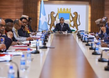 رئيس الوزراء الصومالي يترأس اجتماع مجلس الوزراء الأسبوعي في مقديشو