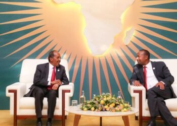 على هامش القمة الإفريقية… الرئيس الصومالي يلتقي قادة إثيوبيا وبوروندي وتنزانيا