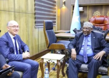 رئيس البرلمان الصومالي يستقبل الأمين التنفيذي لمنظمة حظر التجارب النووية