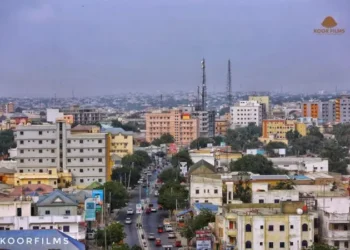 اغتيال شخصين من تجار المخدرات وإصابة آخرَين في مقديشو