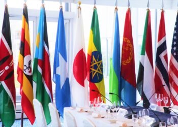 ممثلو المجتمع الدولي يدعون مجددا لوقف إطلاق النار في مدينة لاسعانود