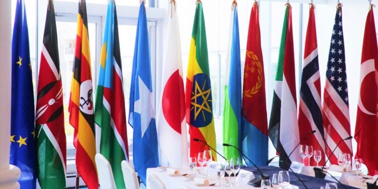 ممثلو المجتمع الدولي يدعون مجددا لوقف إطلاق النار في مدينة لاسعانود