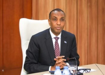 رئيس الوزراء الصومالي يشكل لجنة وطنية لمساعدة المتضررين من الزلزال في تركيا