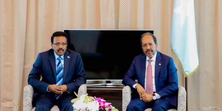 لقاء يجمع بين الرئيس الصومالي حسن شيخ محمود وسلفه في الدوحة
