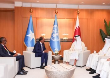 الرئيس الصومالي يلتقي أمير قطر على هامش منتدى الأمم المتحدة للدول الأقل نموا في الدوحة