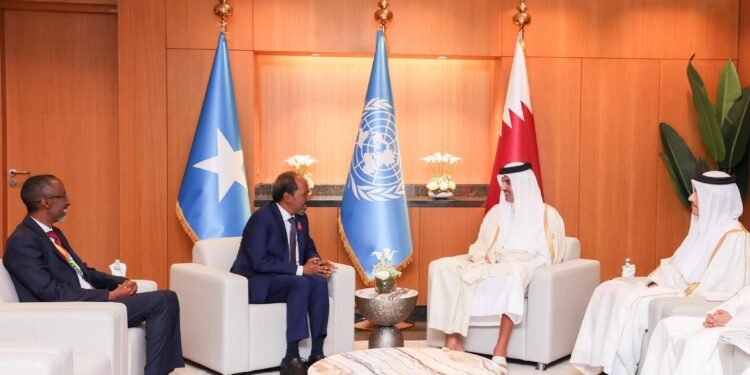 الرئيس الصومالي يلتقي أمير قطر على هامش منتدى الأمم المتحدة للدول الأقل نموا في الدوحة