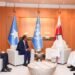 الرئيس الصومالي يلتقي أمير قطر على هامش منتدى الأمم المتحدة للدول الأقل نموا في الدوحة